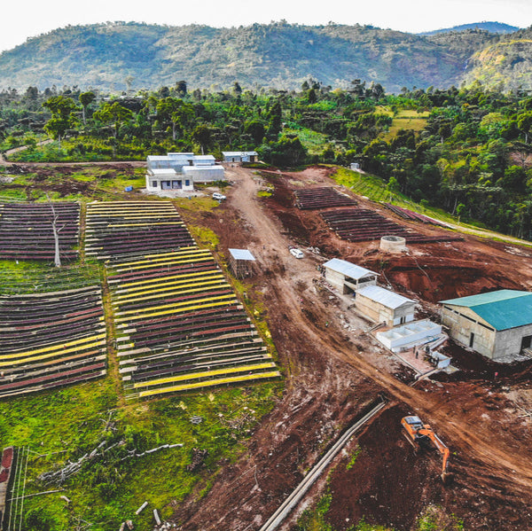 Ethiopia Single Origin Coffee