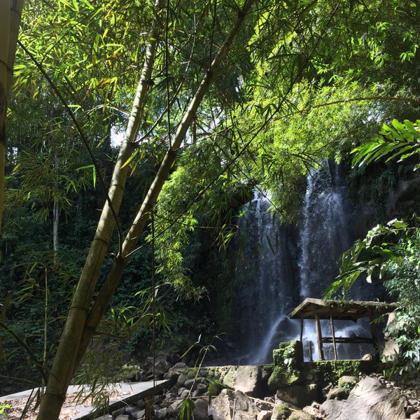 Nicaragua Single Origin Coffee