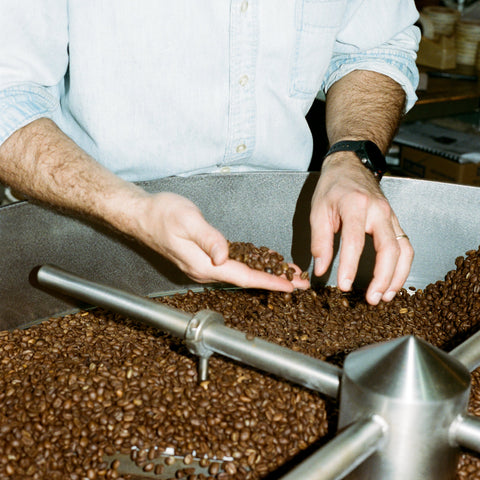 Purchase Coffee Wholesale