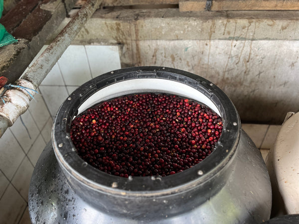 Nicaragua Single Origin Coffee