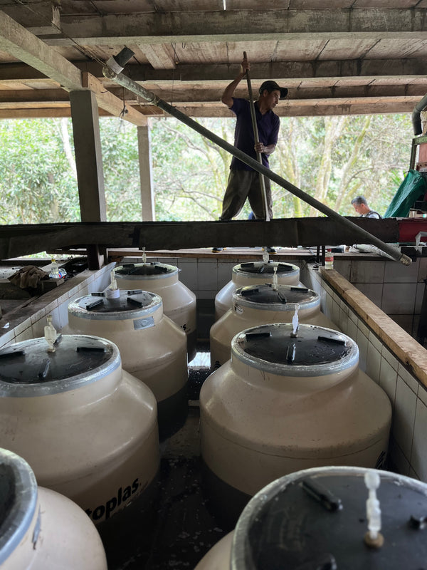 Nicaragua Single Origin Coffee