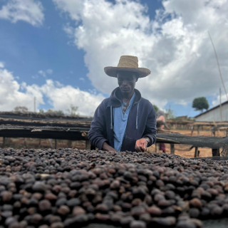 Ethiopia Single Origin Coffee
