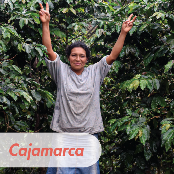 Single Origin Organic Peru