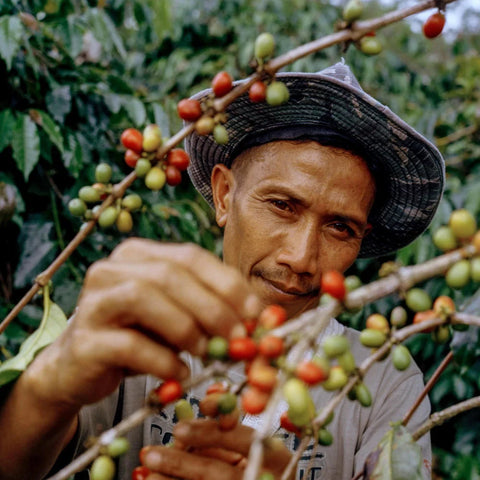 Single Origin Coffee
