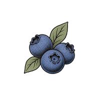 Berry Sweetness